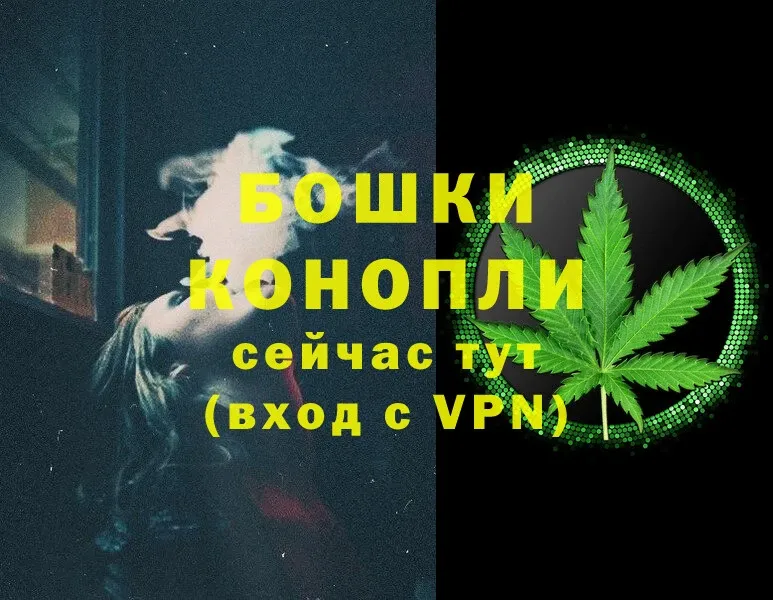 Канабис OG Kush  Малая Вишера 